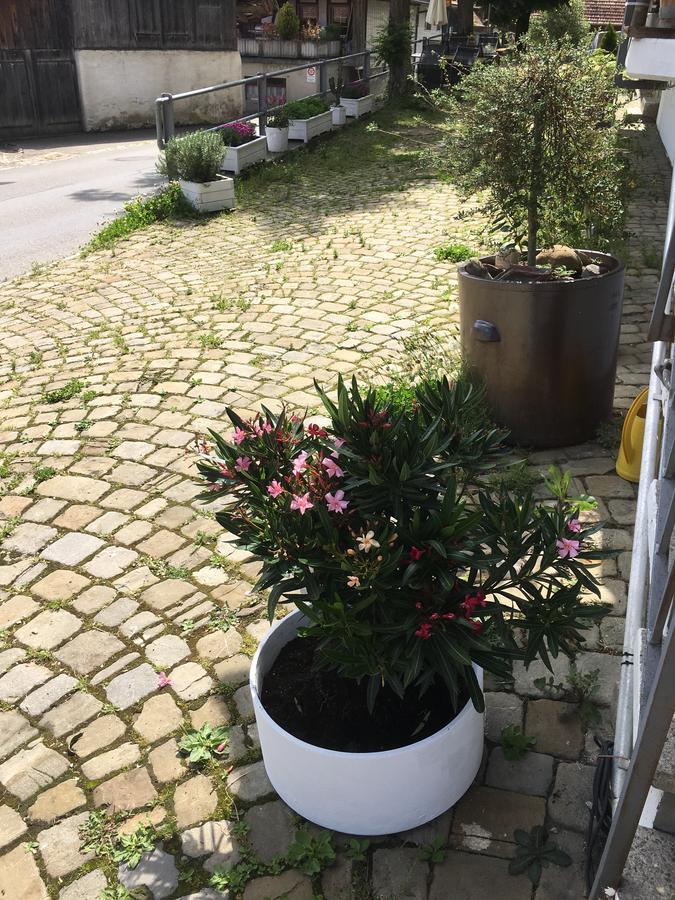 B&B Baeren Rueggisberg Экстерьер фото